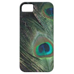 Black Rainbow Peacock iPhone 5 Covers