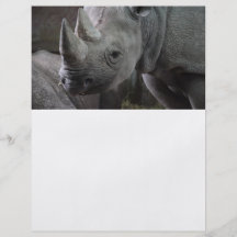 Black Rhinoceros Photo Flyer