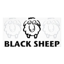 black sheep customized photo card