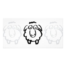 black sheep white sheeps photo cards