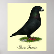 Black Show Racer Print