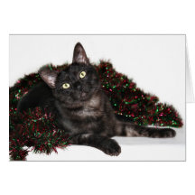 Black smoke cat Christmas Card