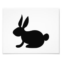 black solid side rabbit view.png photograph