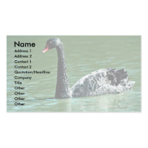 Black swan, Australia Business Card