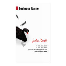 Black Swan Business Cards