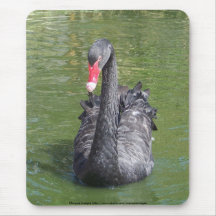 Black Swan Mousepad