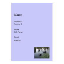 black swans business card template