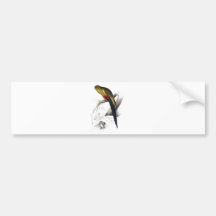 Black-Tailed Parrakeet by Edward Lear Bumper Stickers