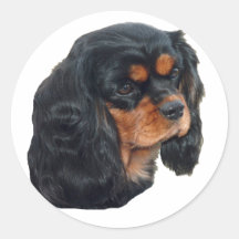 Black & Tan Round Sticker