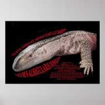 Black Throat Monitor Lizard Print