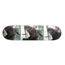 Black Warmblood  Skateboard