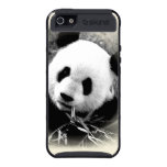 Black White Panda Skinit Cargo iPhone 5 Case