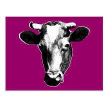 Black & White Retro Cow Graphic Postcard