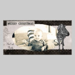 Black & White Rose Zebra Christmas Photo Card photo cards
