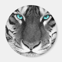 Black White Tiger Magnet