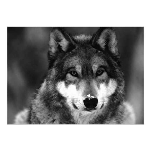 Black & White Wolf Invitation