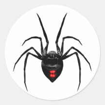Black Widow Spider Stickers