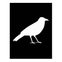 Black with a White Crow. Post Cards