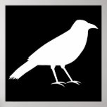 Black with a White Crow. Posters