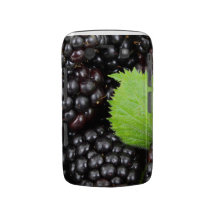 Blackberries Blackberry Bold Case