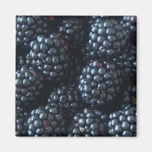 Blackberries Magnet