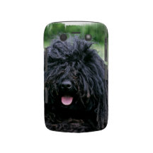 Blackberry Bold Case - Customised