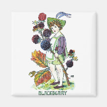 Blackberry Boy Fridge Magnet