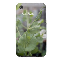 Blackberry Case  Pea Vine 1