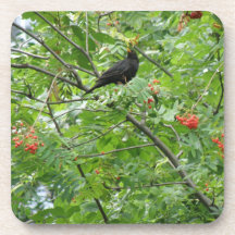 Blackbird and Berries Cork Coaster