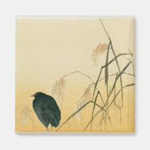 Blackbird, Edo Period Magnets
