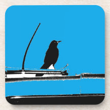 Blackbird with Antenna on Turquoise Coasters