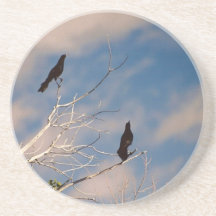 Blackbirds Beverage Coaster