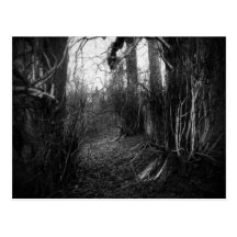Blackwater Park Post Cards