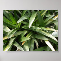 "Blades" Print