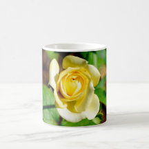 Blanche's mug