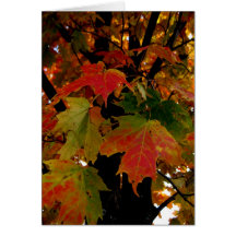 Blank_Autumn Leaves Greeting Cards