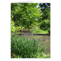 Blank_Iris Pond Cards