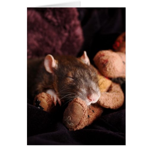 Blank Rat Card