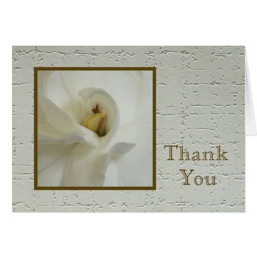 Blank Sympathy Thank You Note Card - Gardenia 