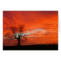 Blazing Sunrise Notecard