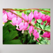 Bleeding Hearts Prints