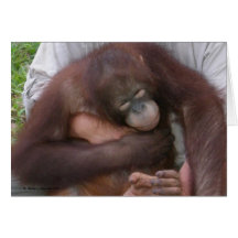 Blind Baby Orangutan Overcoming Disabilities Card