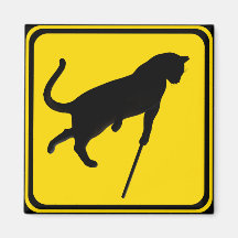Blind Cats Crossing ! Magnets