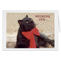 Blk Leopard holiday bow cards