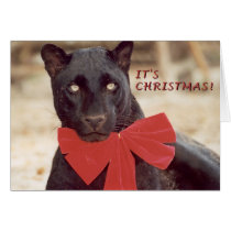 Blk Leopard holiday bow cards