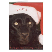 Blk Leopard Santa cards