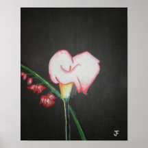 Blood Tipped Calla lily Posters