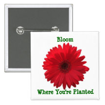 Bloom where you're Planted Daisy Square Button