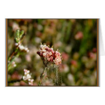 Blooming beautiful greeting card