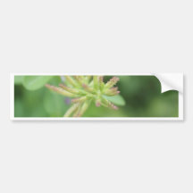 Blooming Greens Bumper Stickers